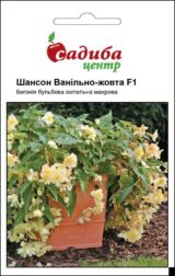 Шансон F1 ванільно-жовта насіння бегонії (Cerny) 10 шт