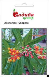 Асклепіас тубероза насіння (Hem Zaden)