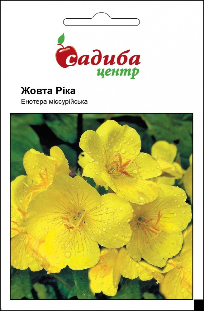 2899013788_zhovta-rika-nasinnya.jpg Жовта Ріка насіння Енотери місурійська (Hem Zaden) 0.1 г - Зображення 1