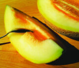 Світ Ананас насіння дині (Садиба центр) 10 шт - Зображення 2