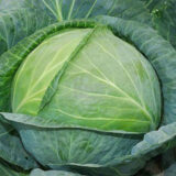 Лангедейкер Децема насіння капусти білоголової 1 г - Зображення 2