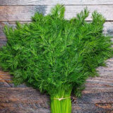 Салют насіння кропу (Традиція)  10г - Зображення 2