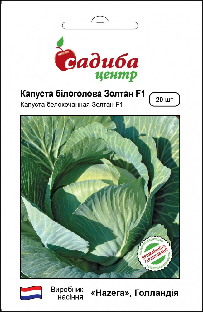 4088625239_kapusta-zoltan-f1.jpg Капуста Золтан F1, 20 нас Хазера Україна ТОВ - Зображення 1