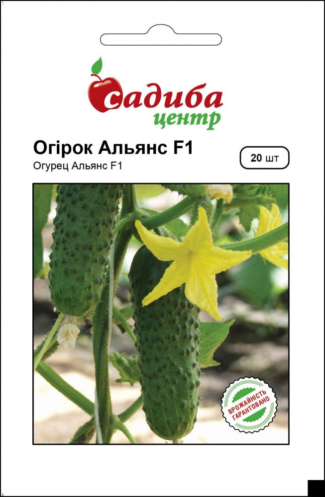 4088895156_ogirok-alyans-f1.jpg Огірок Альянс F1, 20 шт,Bejo Zaden (Голландія) - Зображення 1