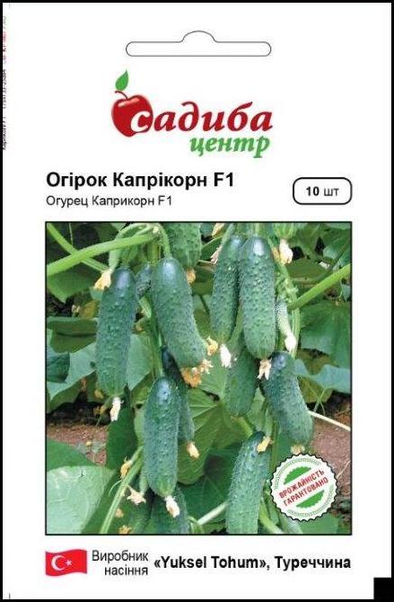 4088988885_ogirok-kaprikorn-f1.jpg Огірок Капрікорн F1, 10 шт, Yuksel Tohum (Туреччина) - Зображення 1