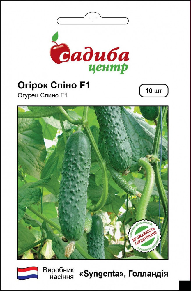 4089050754_ogirok-spino-f1.jpg Огірок Спіно F1, 10 шт, Syngenta (Голландія) - Зображення 1