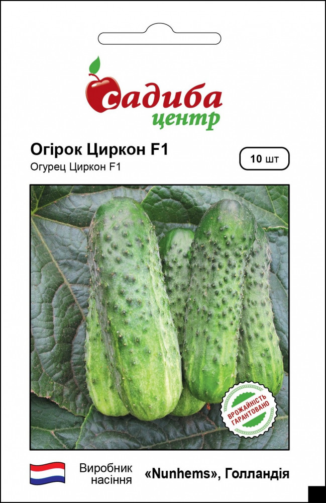 4089136296_ogirok-tsirkon-f1.jpg Огірок Циркон F1, 10 шт, Nunhems Zaden (Голландія) - Зображення 1