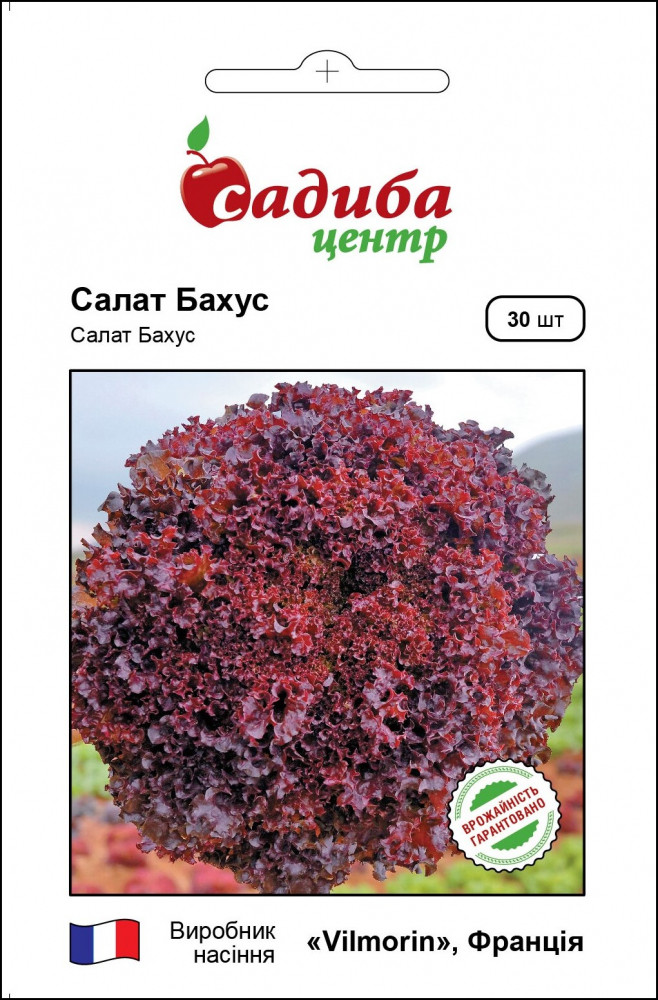 4091768511_salat-bahus-30.jpg Салат Бахус 30 шт, Vilmorin (Франція) - Зображення 1