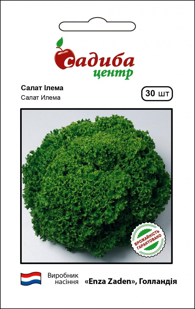 4091823946_salat-ilema-30.jpg Салат Ілема 30 нас,Енза Заден Україна ТОВ - Зображення 1