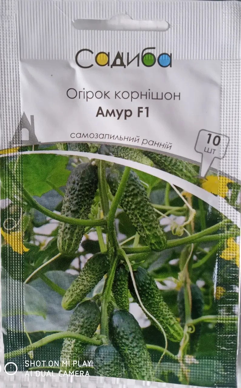 4099040880_amur-f1-nasinnya.webp Амур F1 насіння огірка (Bejo) 10 шт - Зображення 1