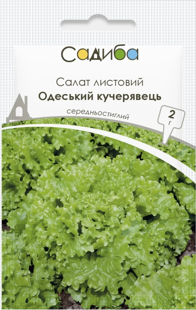 4287439228_salat-odeskij-kucheryavets.webp Салат Одеський кучерявець, 2 г, Україна - Зображення 1
