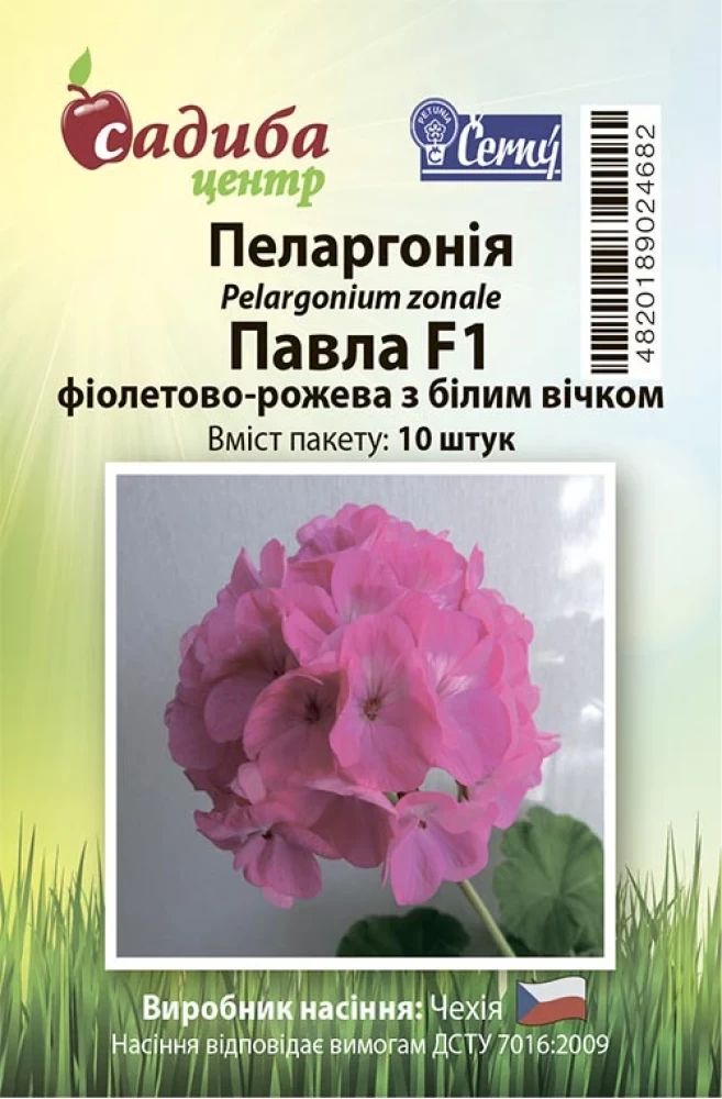 4292466635_pelargoniya-pavla-fioletovo-rozheva.webp Пеларгонія Павла фіолетово-рожева з білим вічком F1 10 шт.Černý Seed, Чеська Республіка - Зображення 1