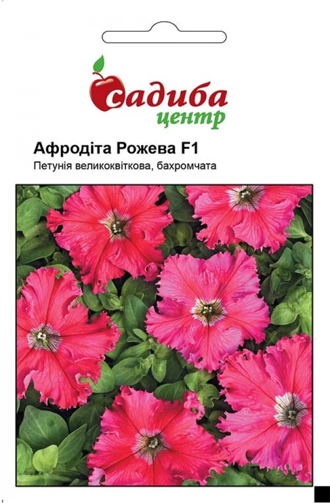 4292515969_petuniya-afrodita-rozheva.webp Петунія Афродіта рожева F1, 10 гранул Černý Seed, Чеська Республіка - Зображення 1