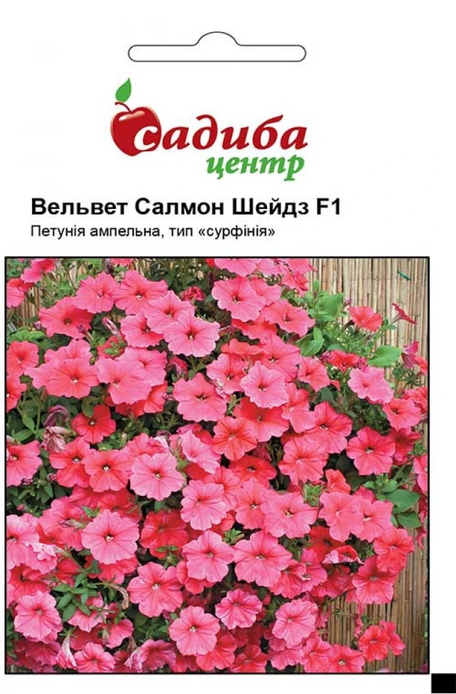 4292596446_petuniya-velvet-salmon.webp Петунія Вельвет Салмон Шейдз F1, 10 гранул, Černý Seed, Чеська Республіка - Зображення 1