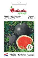 Ред Стар F1 насіння кавуна раннього (Nunhems) 5 шт