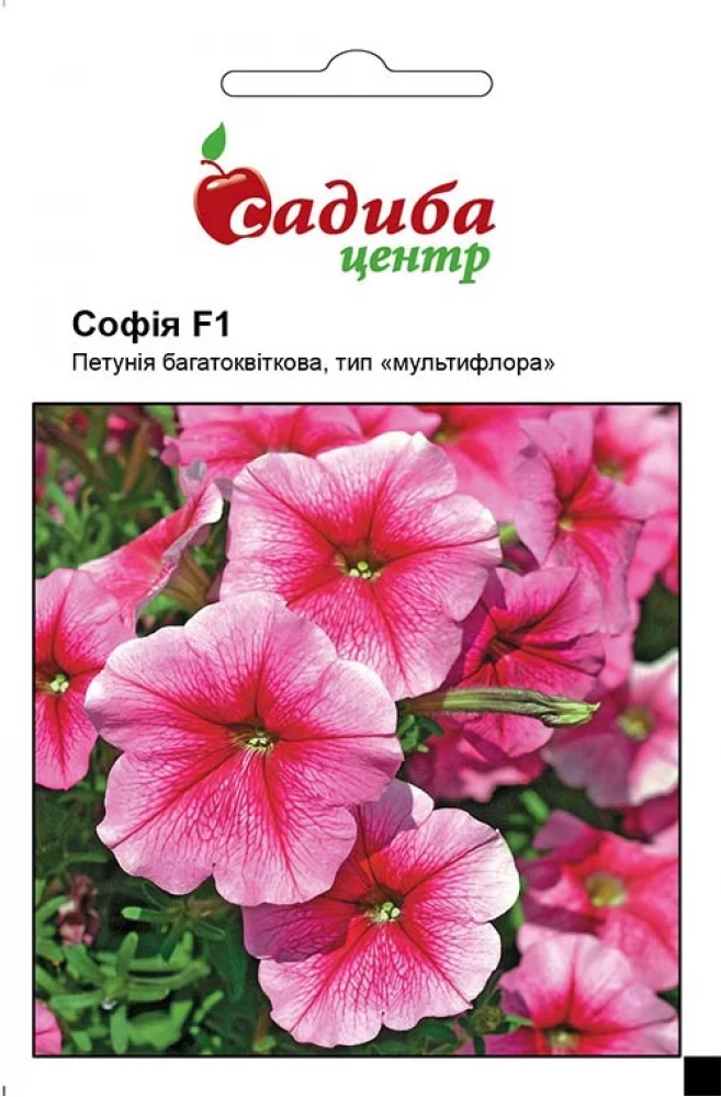 4305280161_petuniya-sofiya-f1.webp Петунія Софія F1 10шт. Černý Seed, Чеська Республіка - Зображення 1