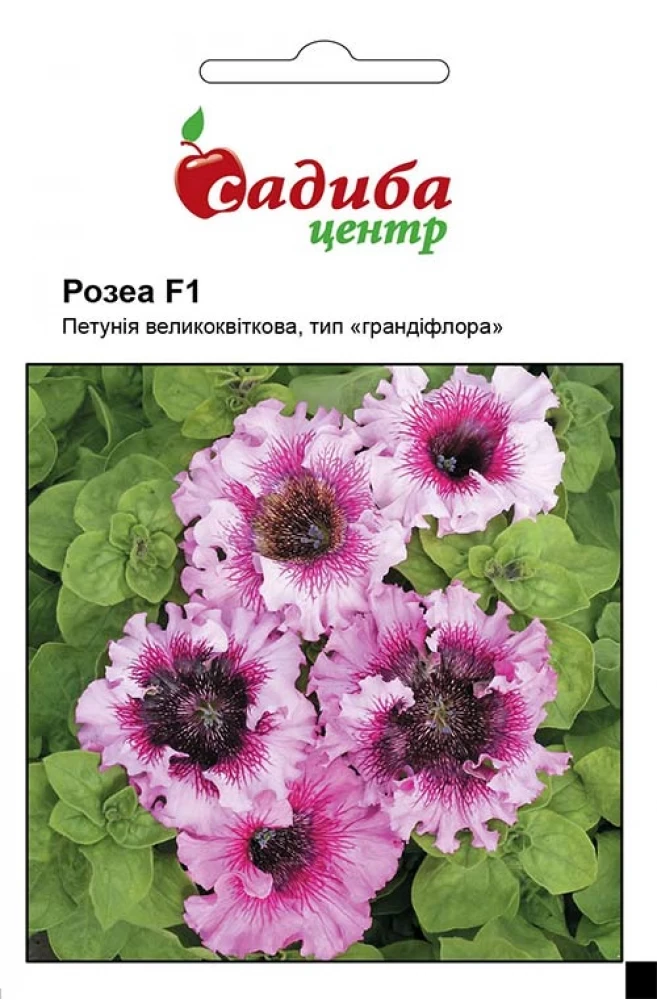 4305508846_petuniya-rozea-f1.webp Петунія Розеа F1 10 шт. Černý Seed, Чеська Республіка - Зображення 1