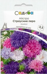 Страусине Перо суміш (Mix) насіння айстри (Hem Zaden) 0.3 г