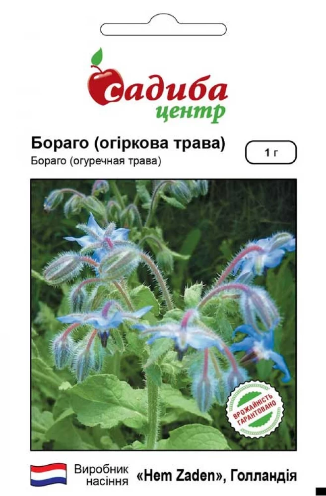 4322706814_borago-1-gr.webp Бораго 1 гр. Hem Zaden BV, Нідерланди - Зображення 1