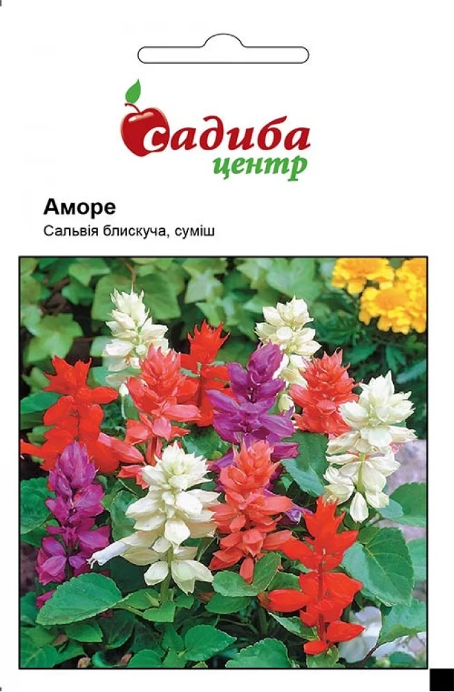 4324611018_salviya-amore-sumish.webp Сальвія Аморе суміш 20 шт. Hem Genetics, Нідерланди СЦ - Зображення 1