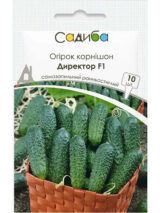 Директор F1 насіння огірка партенокарпічного (Nunhems) 10 шт