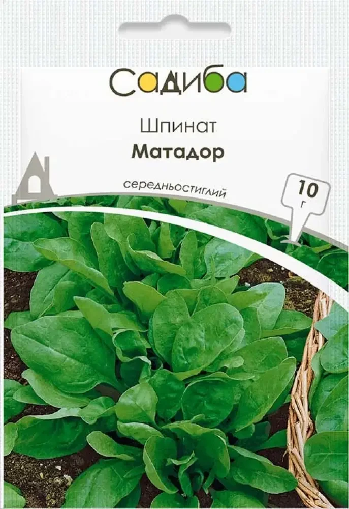 4477652866_shpinat-matador-10.webp Шпинат Матадор, 10 г,GSN Semences(Франція) - Зображення 1