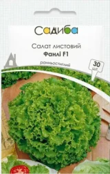 Фанлі насіння салату (Syngenta) 30 шт