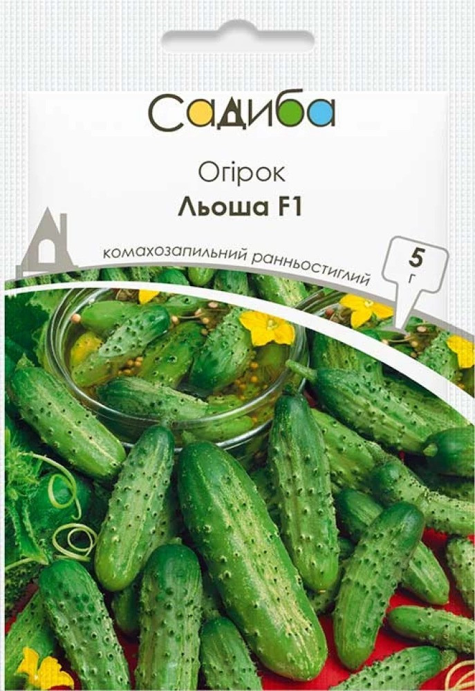 5349122200_ogirok-losha-f1.jpg Огірок Льоша F1 5 г,Україна - Зображення 1