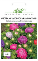 Низькорпосла Камео суміш насіння айстри 0.3 г