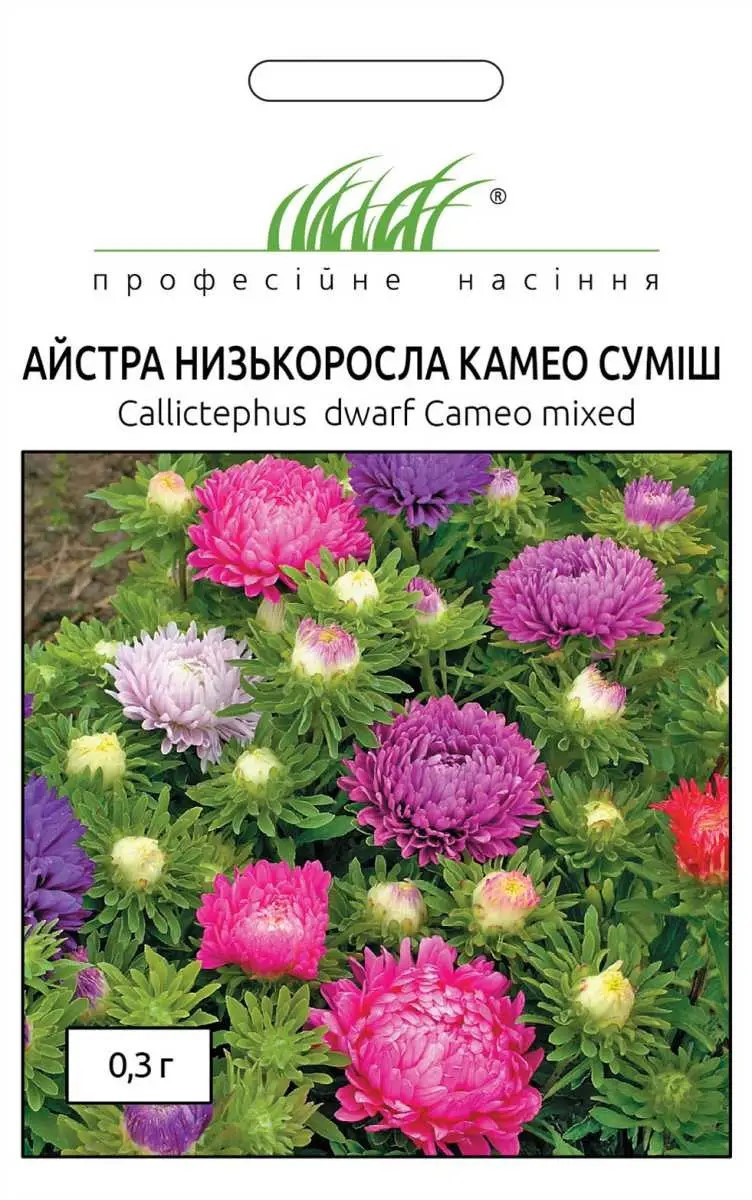 5393685729_nizkorposla-kameo-sumish.jpg Низькорпосла Камео суміш насіння айстри 0.3 г - Зображення 1