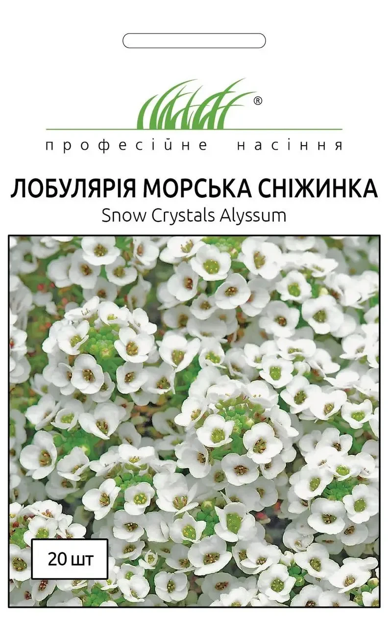 5404068829_lobulyariya-morska-snizhinka.webp Лобулярія Морська Сніжинка 20 шт . (Професійне насіння) - Зображення 1