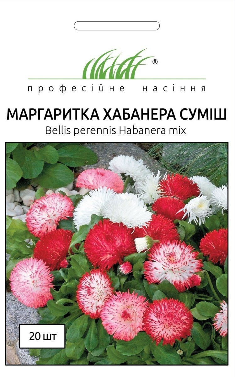 5404086539_margaritka-habanera-sumish.jpg Маргаритка Хабанера Суміш, 20 шт - Зображення 1
