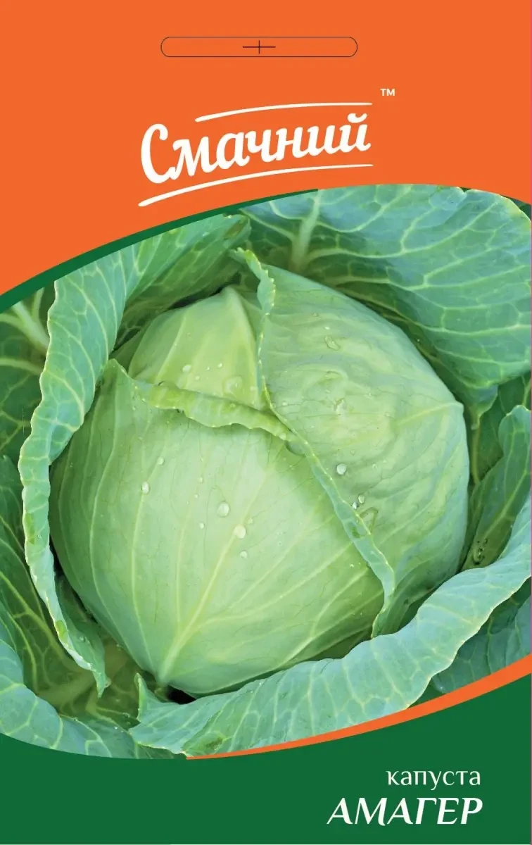 5404451730_kapusta-amager-10.webp Капуста Амагер, 10 г (Смачний) - Зображення 1