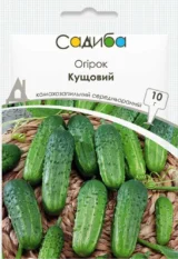 Огірок Кущовий,10гр.(Ураїна)