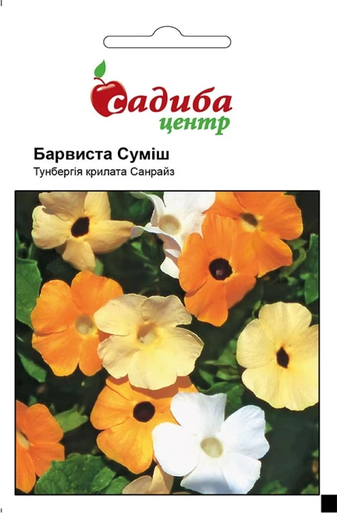 5419998472_tunbergiya-barvista-sumish.webp Тунбергія Барвиста Суміш, 0,1 г - Зображення 1