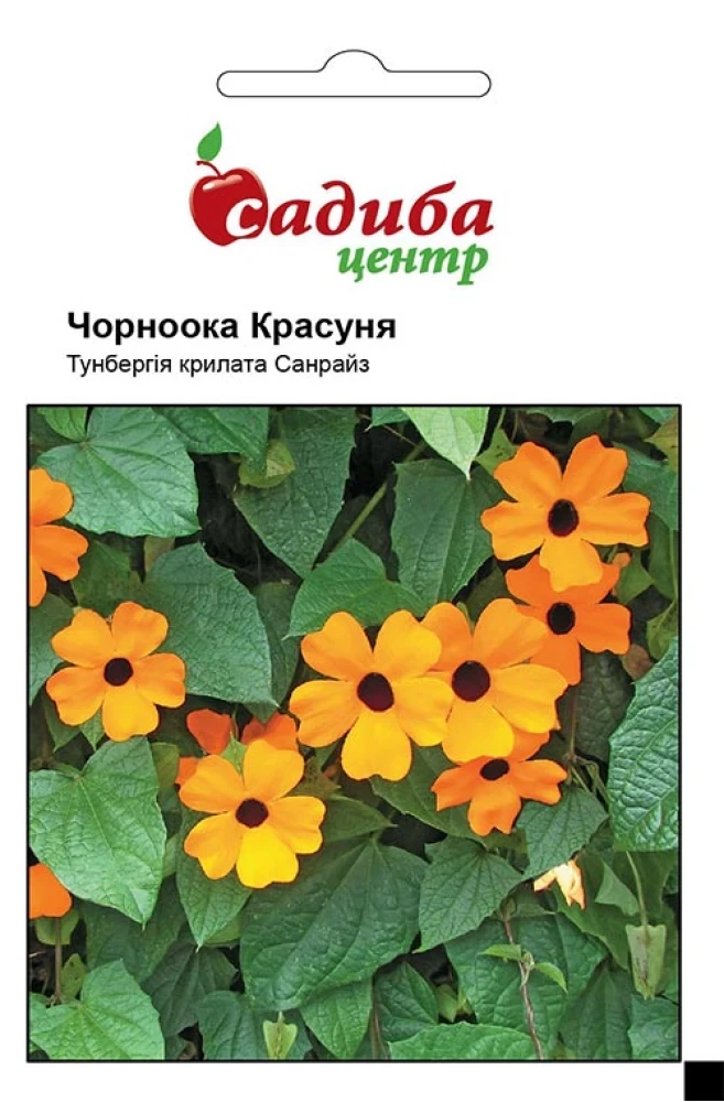 5420010697_tunbergiya-chornooka-krasunya.webp Тунбергія Чорноока Красуня, 0,1 г - Зображення 1