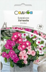 Хетвейв суміш (mix) насіння барвінка (Hem Genetics)