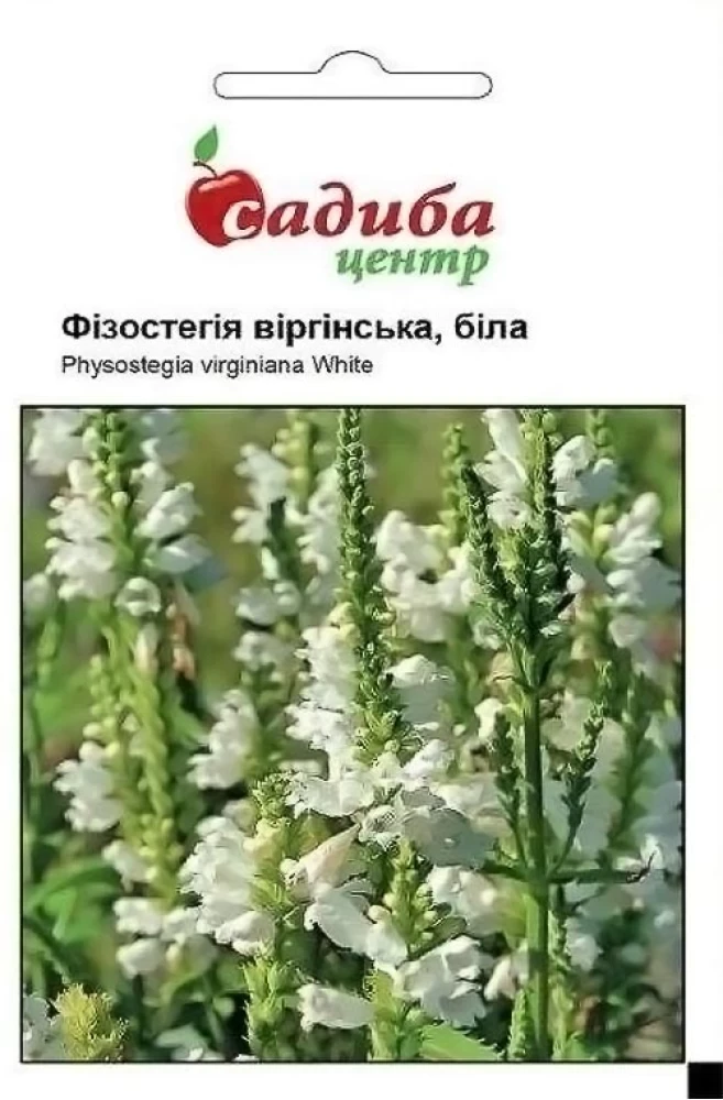 5420197830_fizostegiya-virginska-bila.webp Фізостегія віргінська біла, 0,1 г - Зображення 1