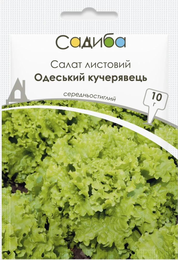 5470468953_salat-odeskij-kucheryavets.webp Салат Одеський кучерявець, 10 г, Україна - Зображення 1