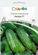 Акорд F1 насіння огірка бджолозапильного (Bejo) 50 шт