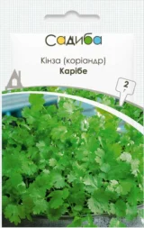 Карібе насіння коріандру (кінзи) (Bejo) 2 г