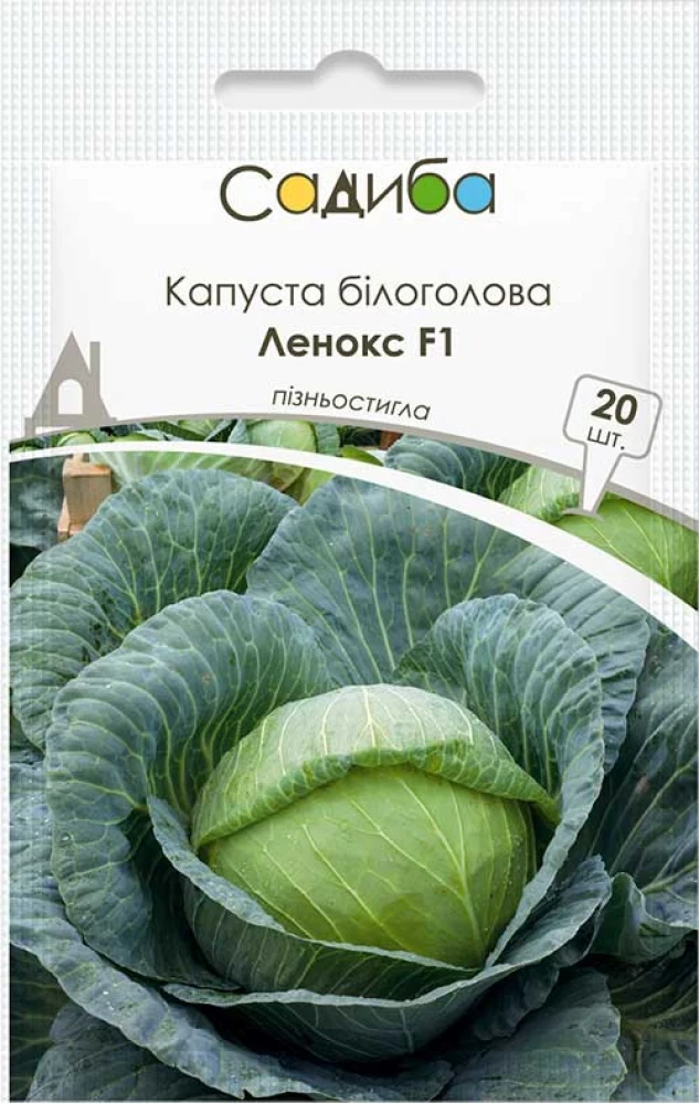 6382012486_lenoks-f1-nasinnya.webp Леннокс F1 насіння капусти білоголової (Bejo) 20 шт - Зображення 1