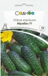 Мірабелл F1 насіння огірка партенокарпічного (Seminis) 10 шт