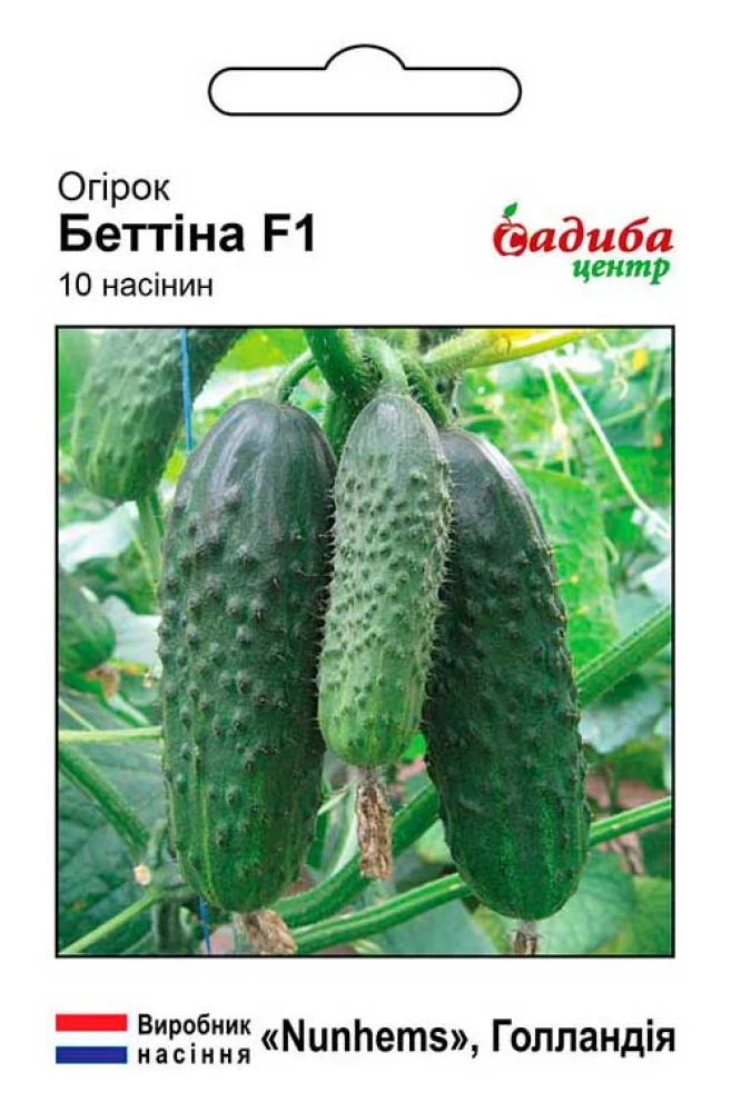 6383124336_ogirok-betina-f1.webp Огірок Бетіна F1, 10 шт,Nunhems Zaden (Голландія) - Зображення 1