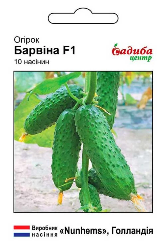 6383126069_ogirok-barvina-f1.webp Огірок Барвіна F1, 10 шт,Nunhems Zaden (Голландія) - Зображення 1