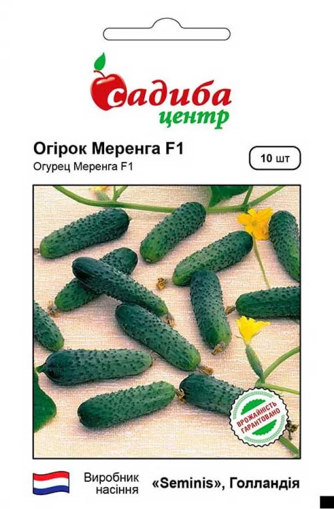 6383134748_ogirok-merenga-f1.webp Огірок Меренга F1, 10 шт, Seminis (Голландія) - Зображення 1