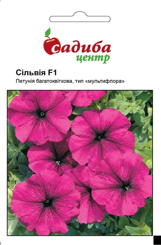 6383162691_petuniya-silviya-f1.webp Петунія Сільвія F1, 10 гранул Černý Seed, Чеська Республіка - Зображення 1