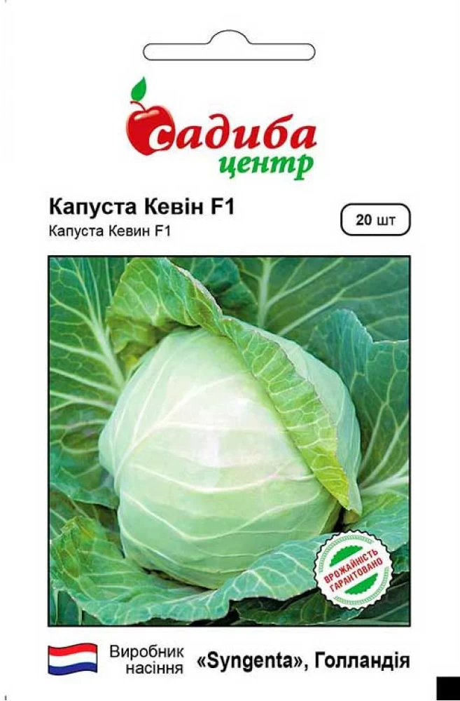 6383552696_kapusta-bilogolova-kevin.webp Капуста Білоголова Кевін F1, 20 шт. Syngenta, Нідерланди - Зображення 1