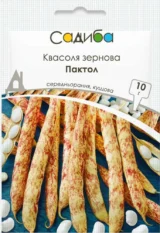 Квасоля зернова Пактол 10 г. GSN-Semences, Франція