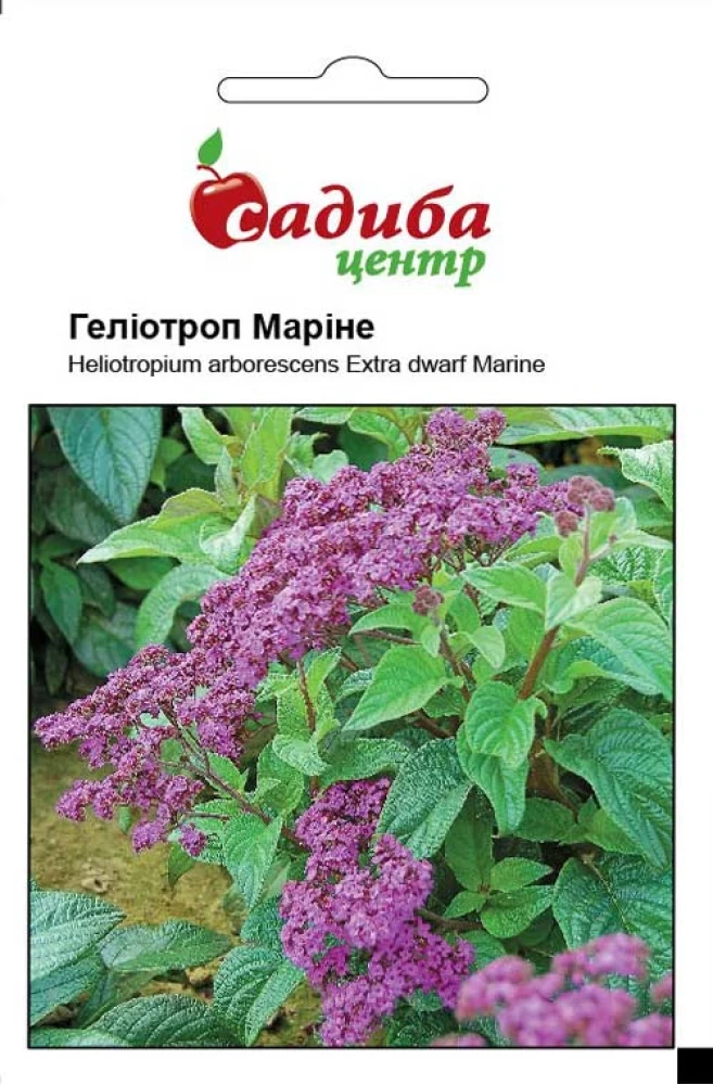 6383610033_geliotrop-marine-01.webp Геліотроп Маріне 0,1 г. Hem Zaden BV, Нідерланди - Зображення 1